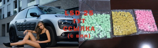 крисы Володарск