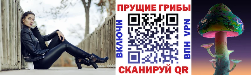 Галлюциногенные грибы прущие грибы ОМГ ОМГ как зайти Кудымкар