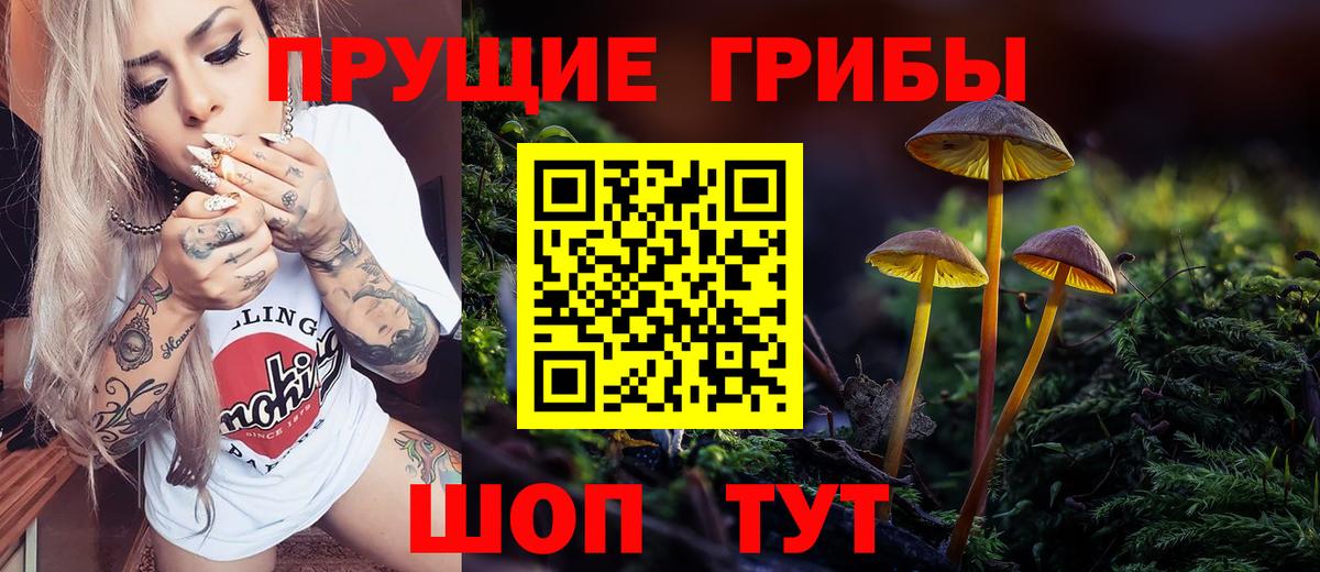Галлюциногенные грибы GOLDEN TEACHER Кудымкар