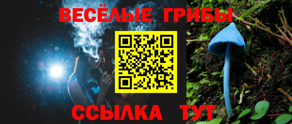 А ПВП Кудымкар
